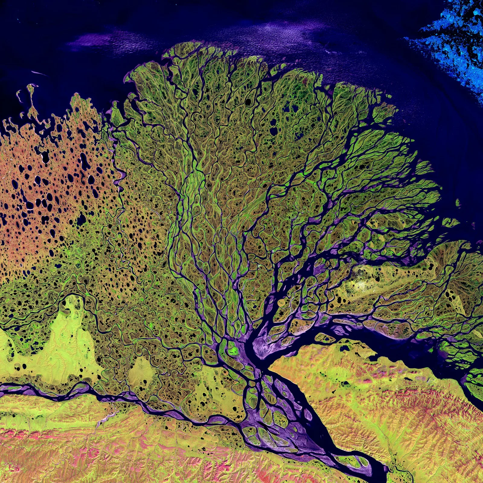 Satellite image